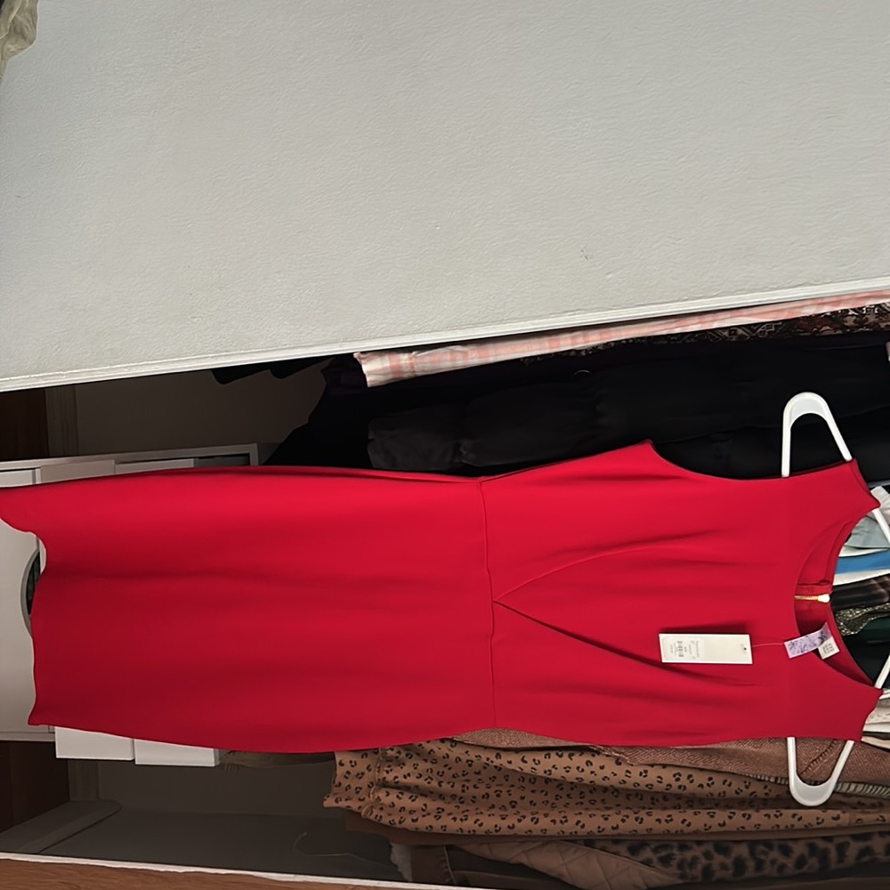 Francesca’s dress